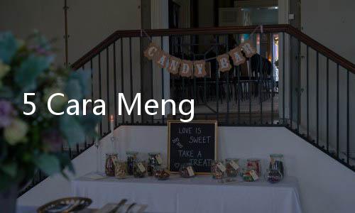 5 Cara Menghilangkan Scabies pada Kucing