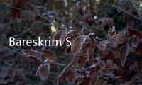 Bareskrim Selidiki Kasus Dugaan Kebocoran Data Pemilih di Website KPU