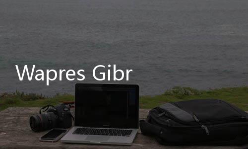 Wapres Gibran Tinjau Proyek JSDP WIKA, Tekankan Rampung Tepat Waktu dan Berualitas Terbaik